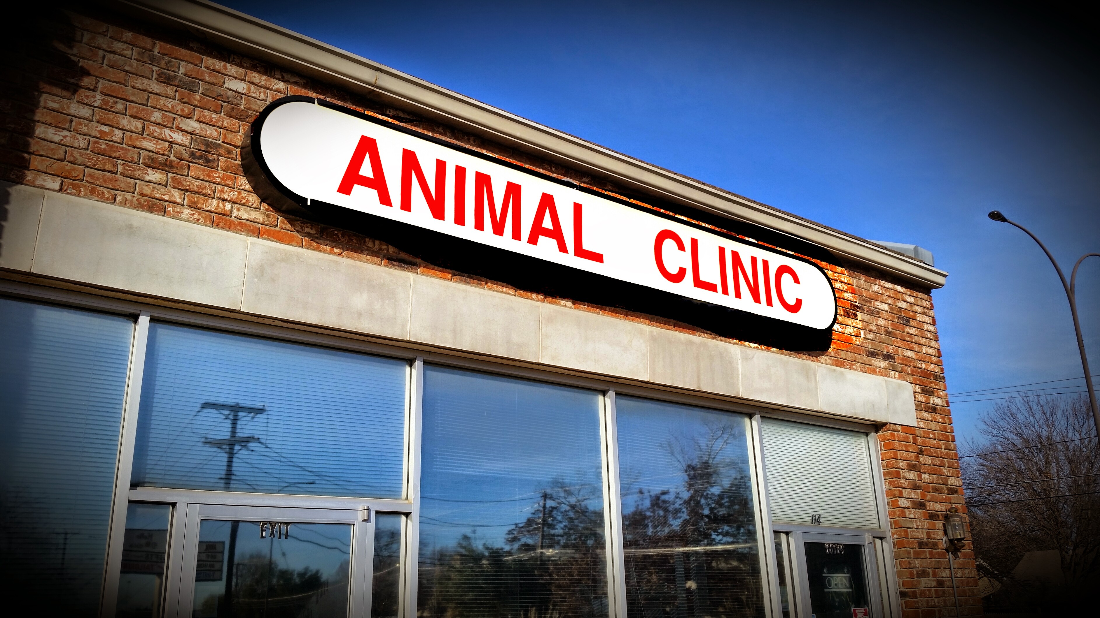 Animal Clinic Of Arlington Your Local Veterinarian In Arlington Tx